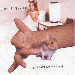 A Thousand Leaves by Sonic Youth