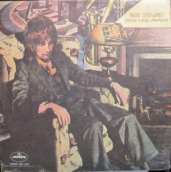 Never A Dull Moment by Rod Stewart