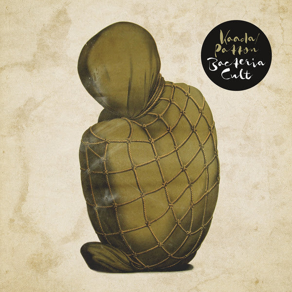 Bacteria Cult by Kaada