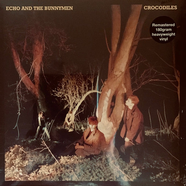 Crocodiles by Echo & The Bunnymen