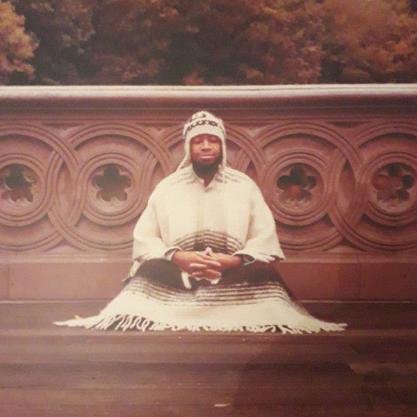 Segue To Infinity by Laraaji