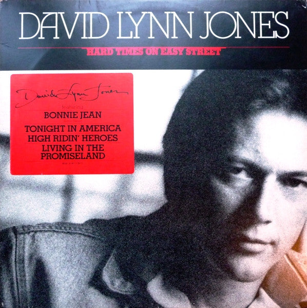 Hard Times On Easy Street by David Lynn Jones