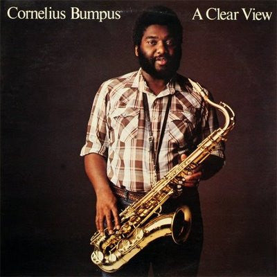 A Clear View by Cornelius Bumpus