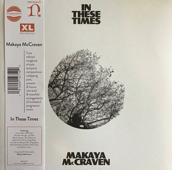 In These Times by Makaya McCraven