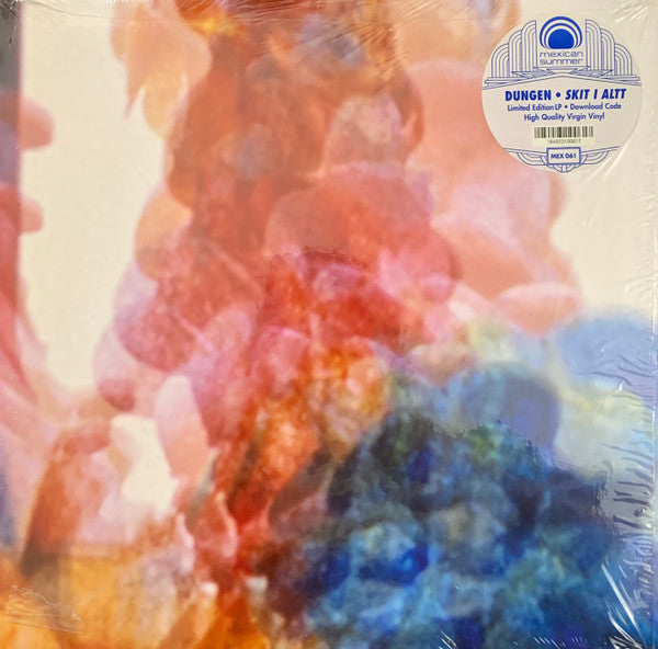 Skit I Allt by Dungen