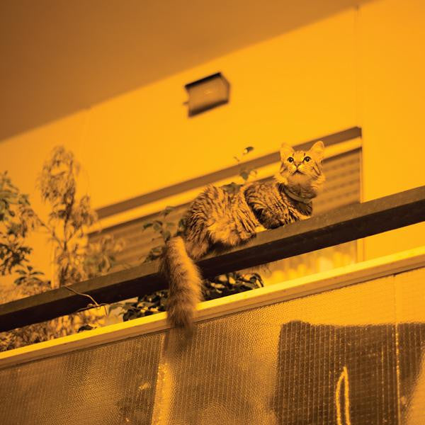 The Republic by Sam Prekop