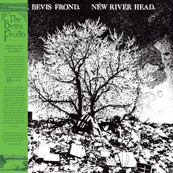 New River Head by The Bevis Frond