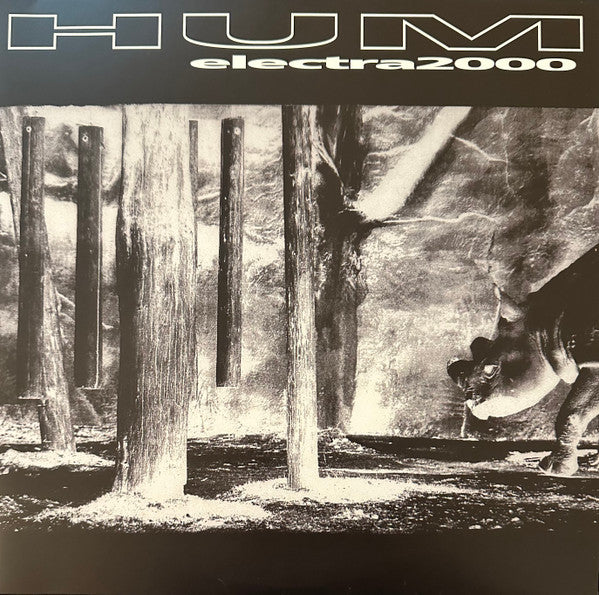Electra 2000 by Hum (2)