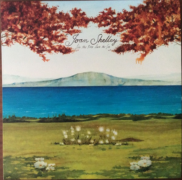 Like The River Loves The Sea by Joan Shelley