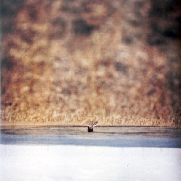 Hands That Bind (Original Motion Picture Soundtrack) by Jim O'Rourke