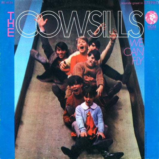 We Can Fly by The Cowsills