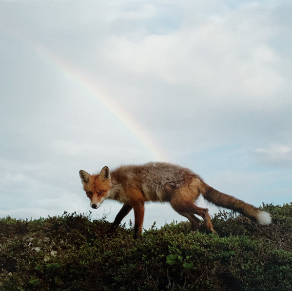 Buck Meek by Buck Meek