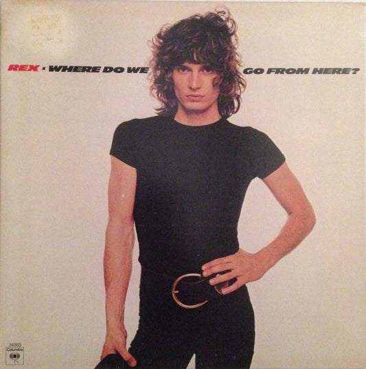 Where Do We Go From Here? by Rex