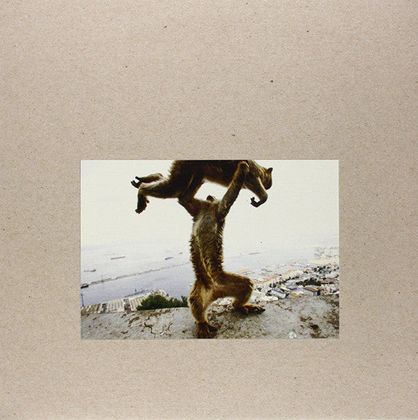 Dude Incredible by Shellac