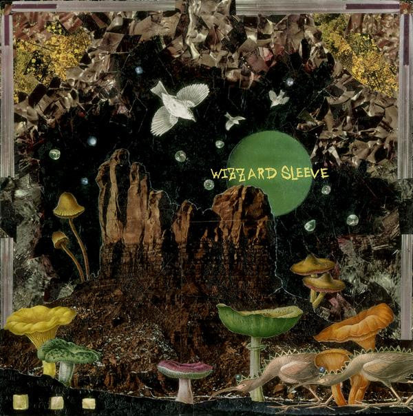 Make The World Go Away by Wizzard Sleeve