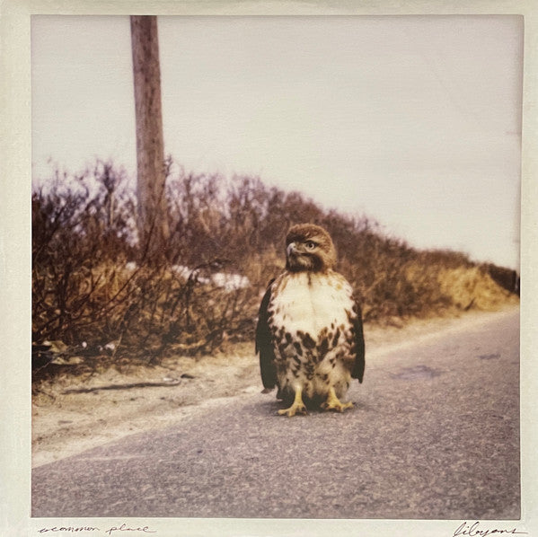 A Common Place by Libyans