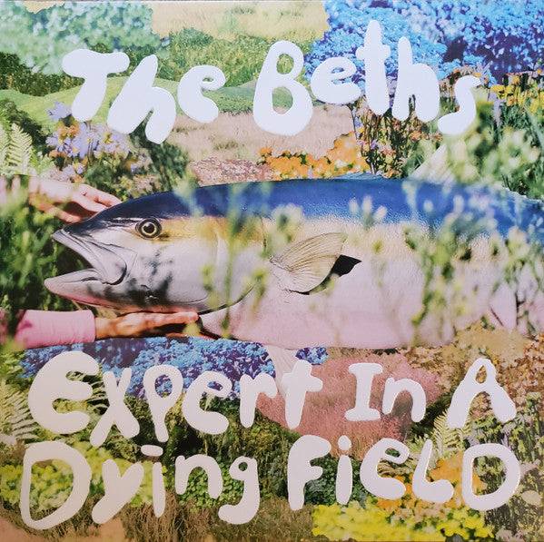 Expert In A Dying Field by The Beths