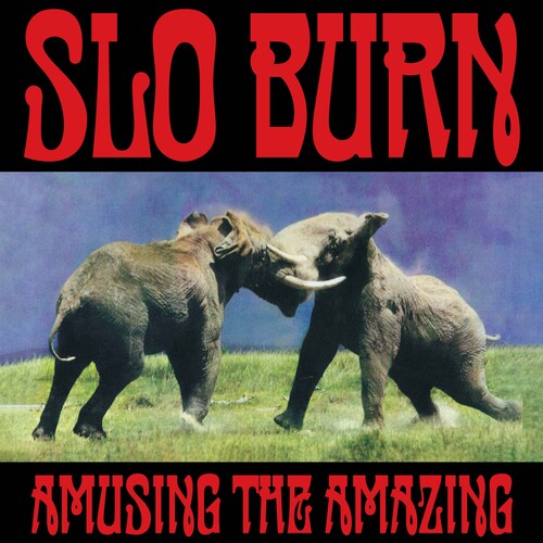 Amusing the Amazing by Slo Burn RECORD STORE DAY BLACK FRIDAY 2025