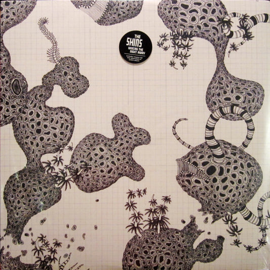 Wincing The Night Away by The Shins
