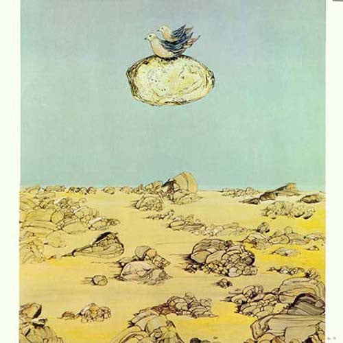 Donovan In Concert by Donovan