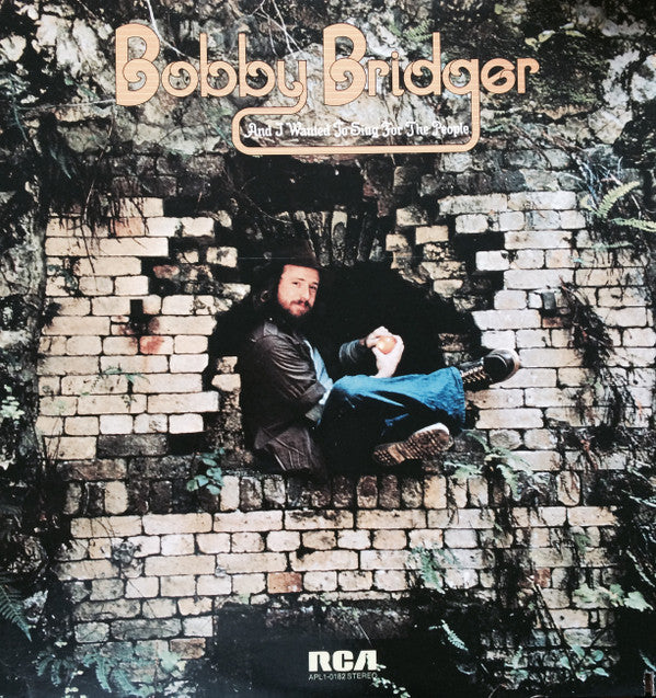 And I Wanted To Sing For The People by Bobby Bridger