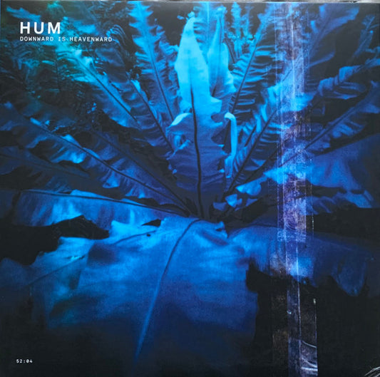 Downward Is Heavenward by Hum