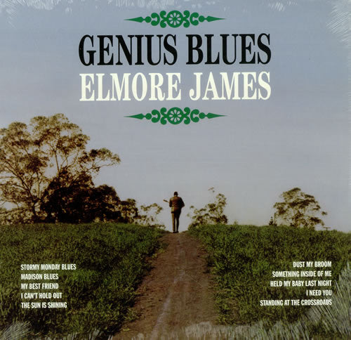 Genius Blues by Elmore James