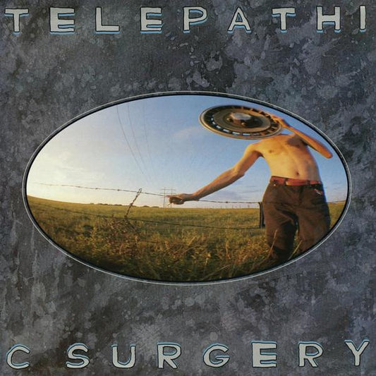 Telepathic Surgery by The Flaming Lips