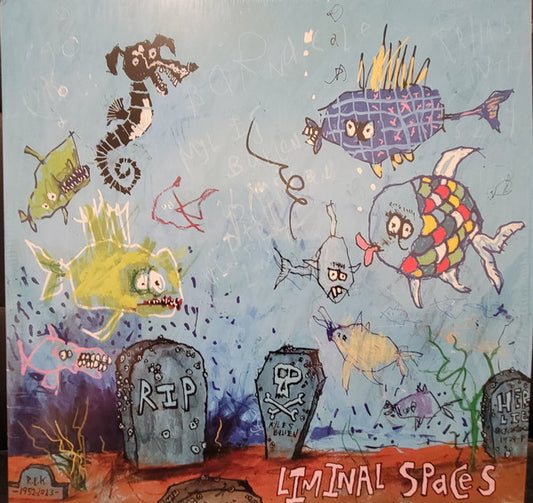 Liminal Spaces Ltd  by Myles Bullen