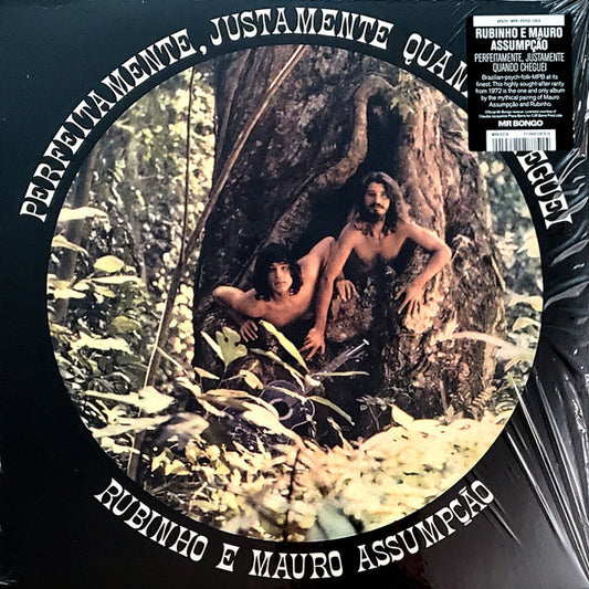 Perfeitamente, Justamente Quando Cheguei by Rubinho E Mauro Assumpção