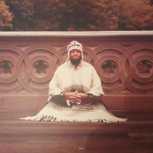 Segue To Infinity by Laraaji