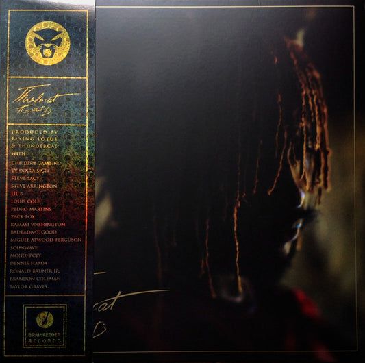 It Is What It Is by Thundercat