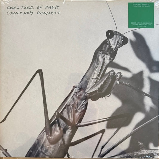 Creature Of Habit by Courtney Barnett
