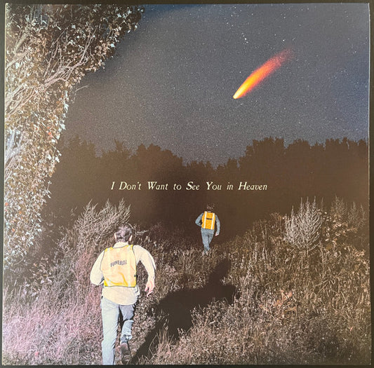 I Don't Want To See You In Heaven by The Callous Daoboys