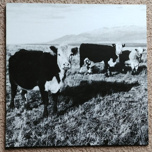 The Finally LP by Mark Kozelek