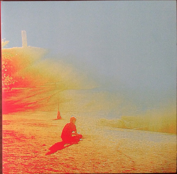 The Terror by The Flaming Lips