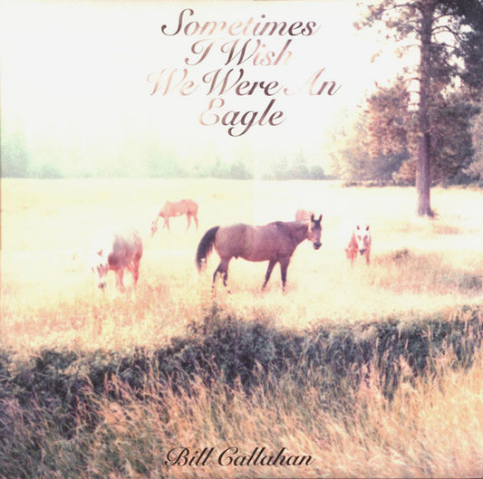 Sometimes I Wish We Were An Eagle by Bill Callahan