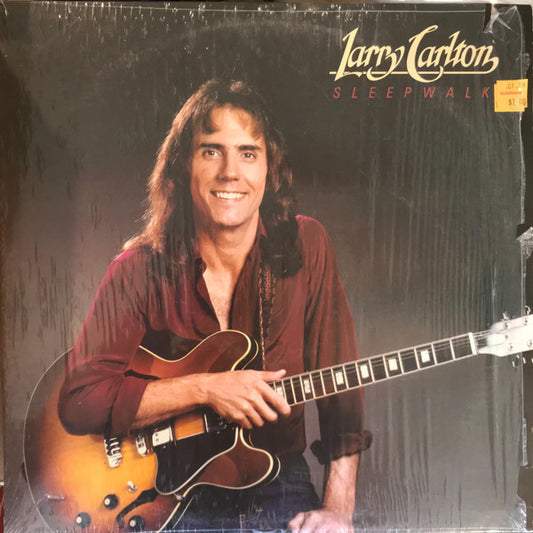 Sleepwalk by Larry Carlton