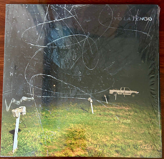 This Stupid World by Yo La Tengo