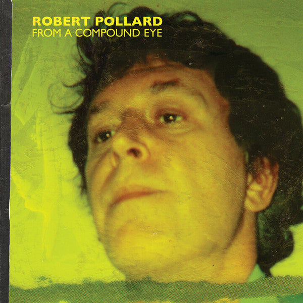 From A Compound Eye by Robert Pollard