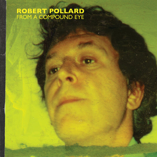 From A Compound Eye by Robert Pollard