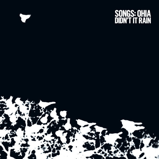 Didn't It Rain by Songs: Ohia