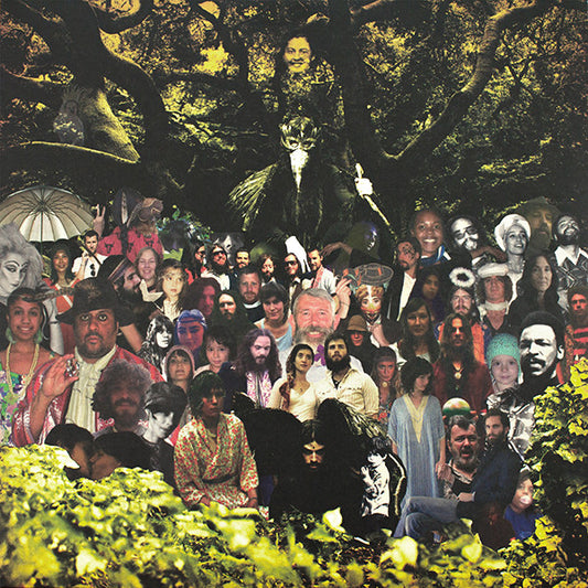 Cripple Crow by Devendra Banhart