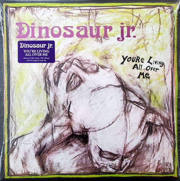 You're Living All Over Me by Dinosaur Jr.