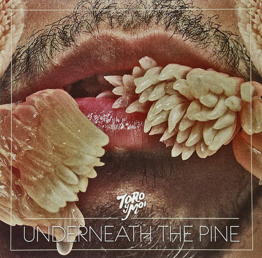 Underneath The Pine by Toro Y Moi