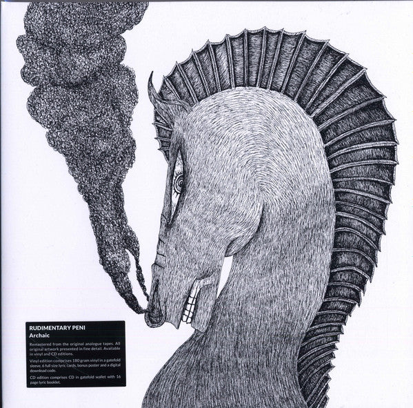 Archaic by Rudimentary Peni
