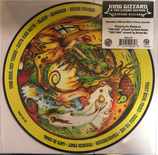 Teenage Gizzard by King Gizzard And The Lizard Wizard