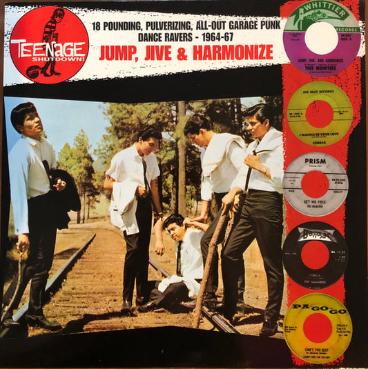 Jump, Jive & Harmonize (18 Pounding, Pulverizing, All-Out Garage Punk Dance Ravers - 1964-67) by Various