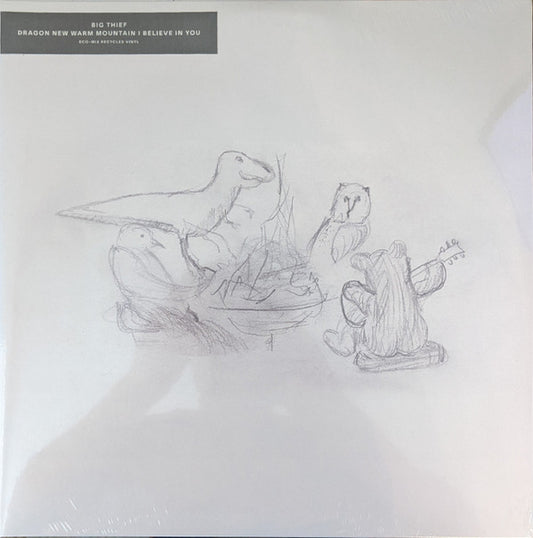 Dragon New Warm Mountain I Believe In You by Big Thief