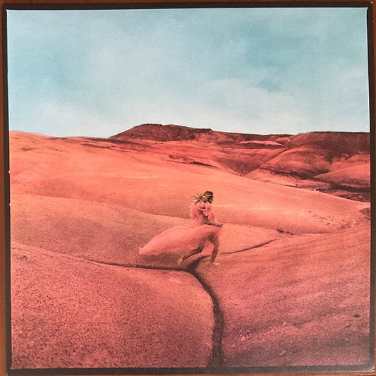 Strays by Margo Price
